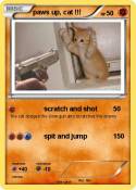 paws up, cat