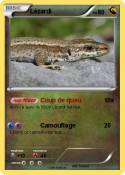 Lézardi