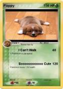 Floppy