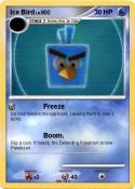 Ice Bird