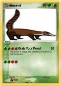 Coatimundi