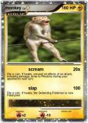 monkey