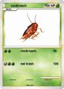cockroach