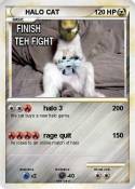 HALO CAT