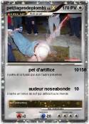 pet(tagesdeplom