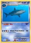 Shark
