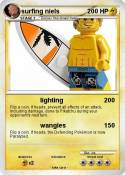 surfing niels