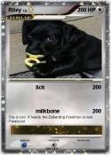Riley
