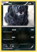 dog