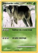 loup-border