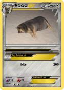 DOG!