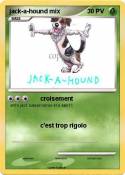 jack-a-hound