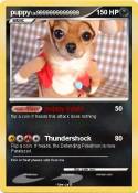 puppy