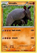 armadillo