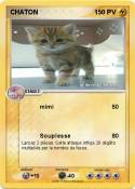 CHATON