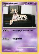 dogue allemand