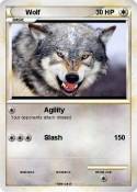 Wolf