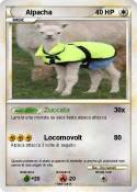 Alpacha