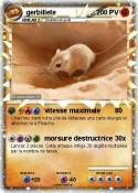 gerbillete
