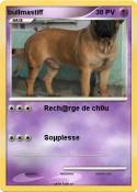 bullmastiff