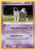Akita of Awesom