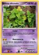 Melissa officin