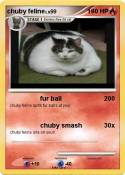 chuby feline