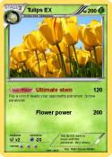 Tulips EX