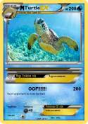 Turtle