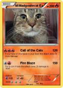 M Madgoaliecat