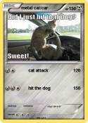 metal cat/car