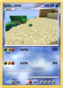 turtle