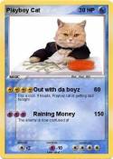 Playboy Cat