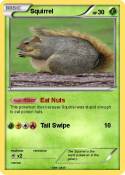 Squirrel