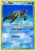 Turtle