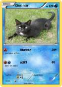 Chat noir