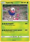 Apple dog