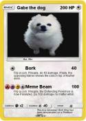 Gabe the dog