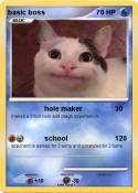basic boss