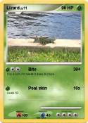 Lizard