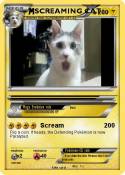 SCREAMING CAT