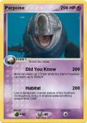 Porpoise