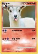 Big goat
