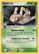 Stealth Cat