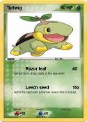 Turtwig
