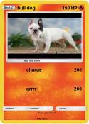 bull dog