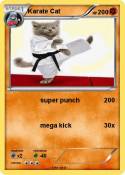 Karate Cat