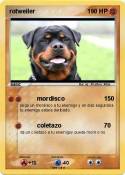rotweiler