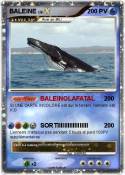 BALEINE