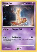 Bacon Cat